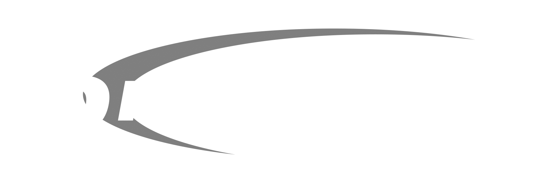 Onstream logo