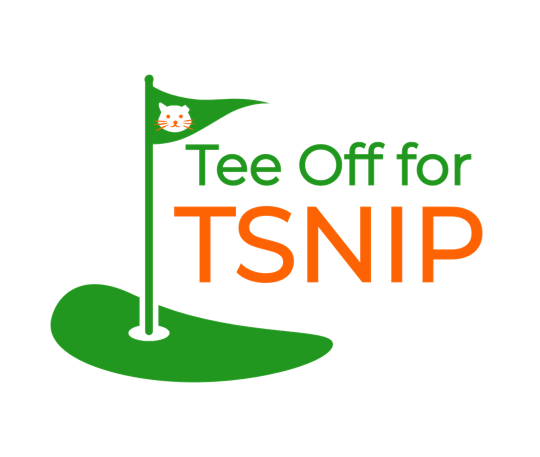 Tee Off for TSNIP 2023 logo
