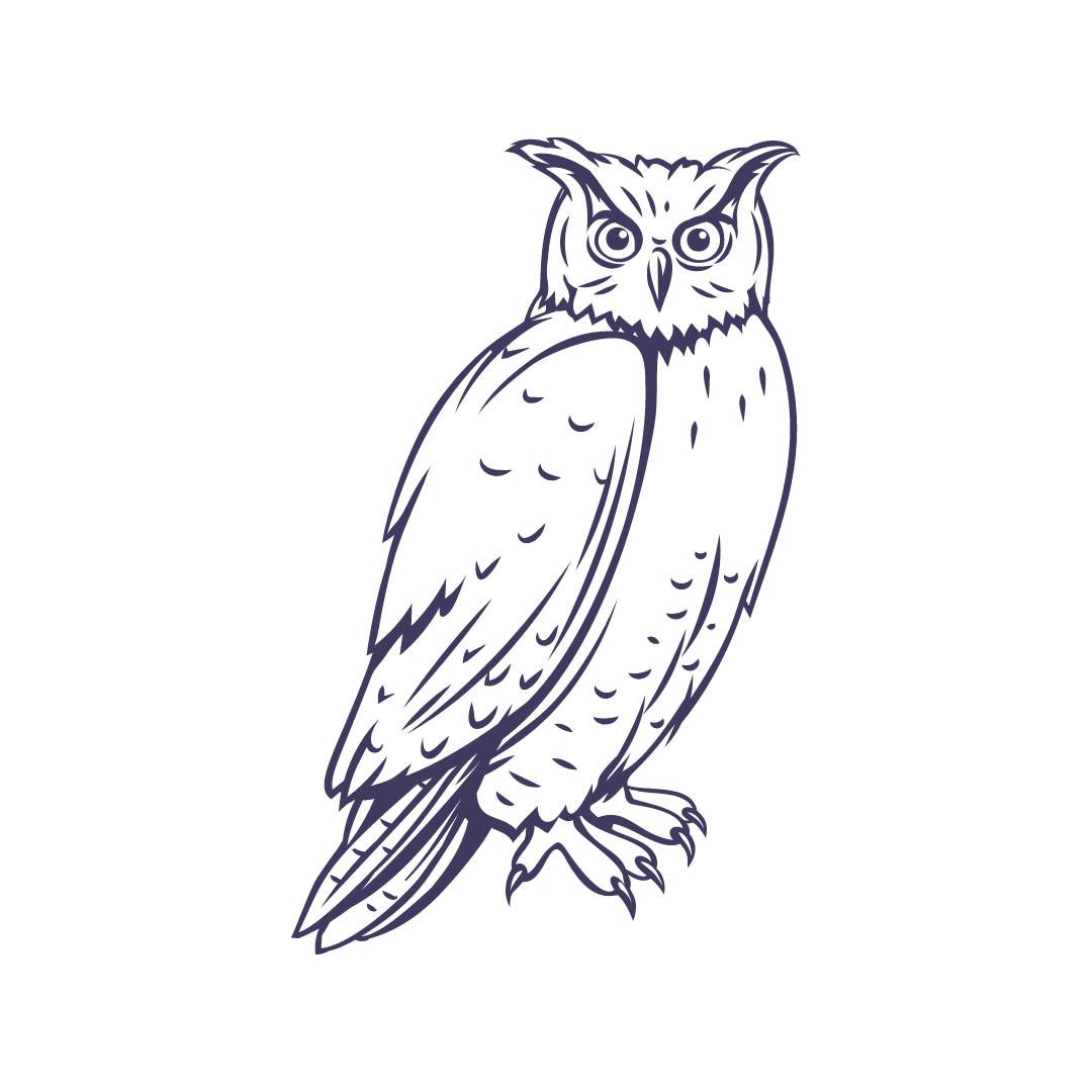 2024 Owl Cup logo