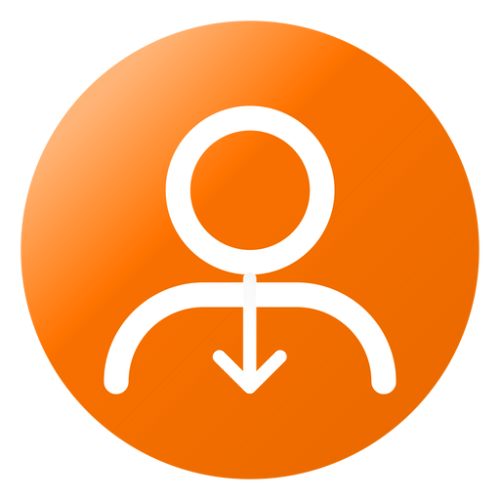 How to Download Instagram Images and Videos Anonymously Using Imginn logo