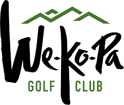 Recovery Open 2025 logo