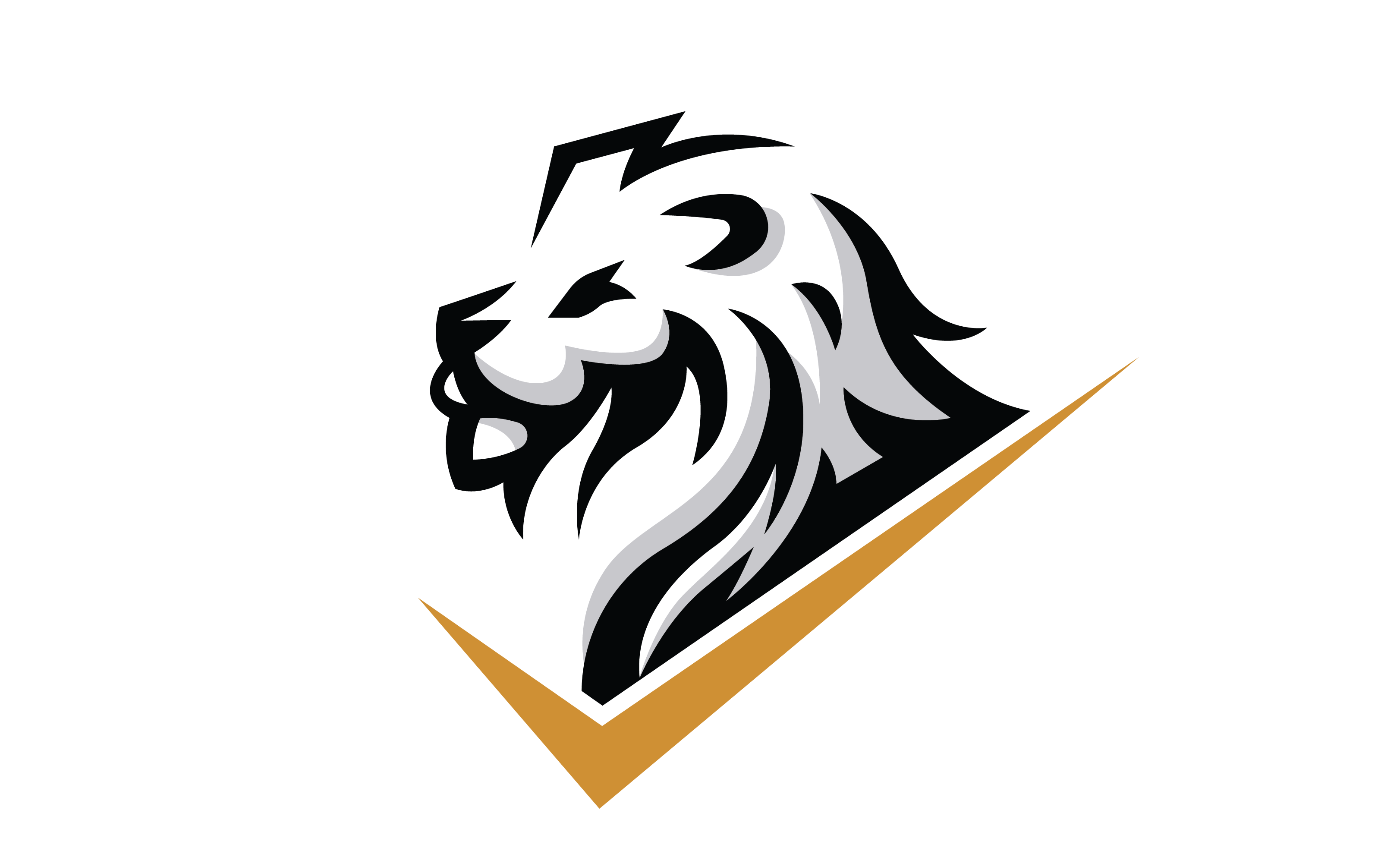 1st Annual King Chiro Golf Tournament logo