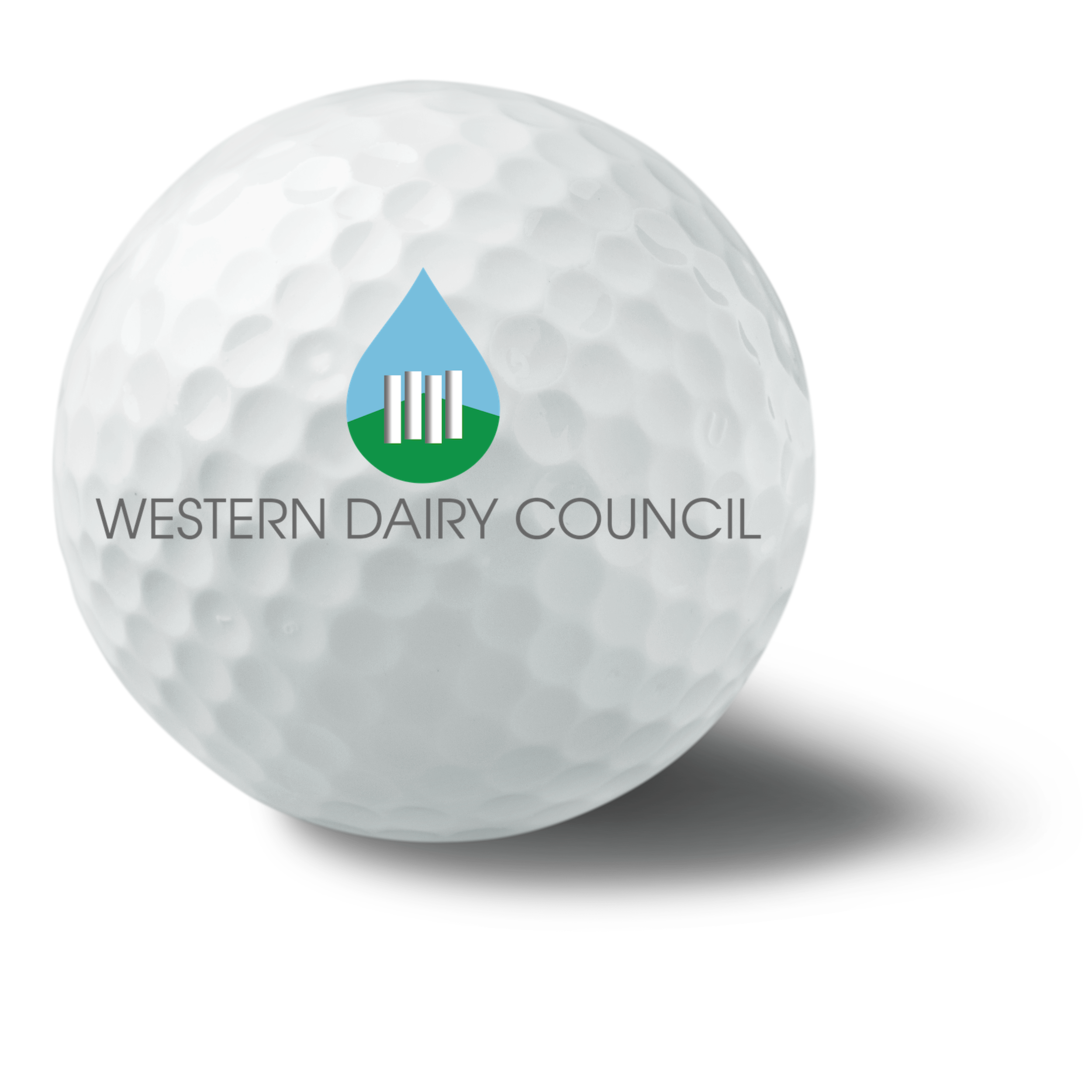2024 Western Dairy Council Golf Tournament logo