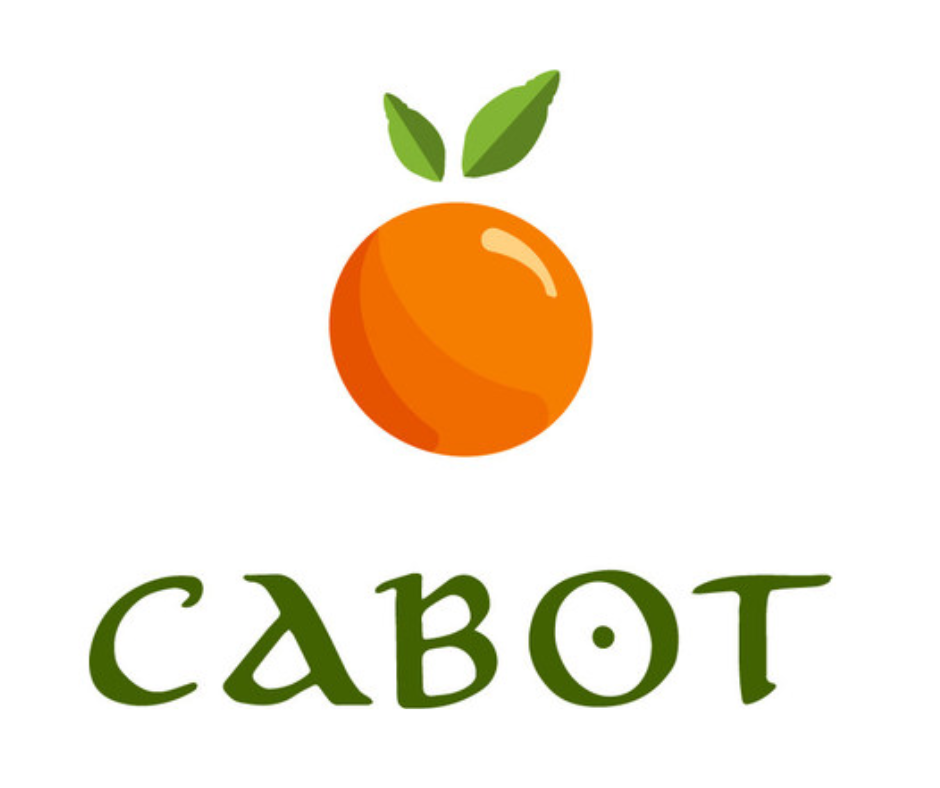 Recovery Open 2026 logo