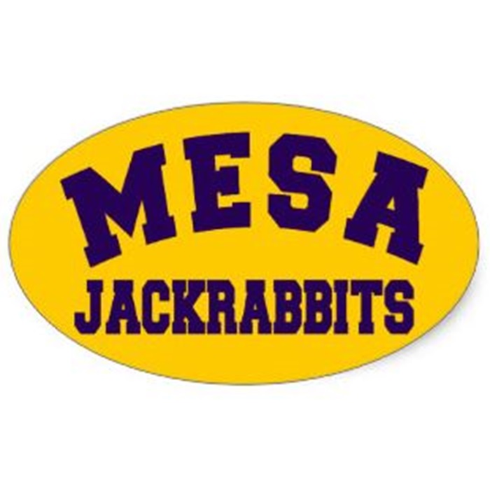 2019 MHS Reunion Golf Tournament logo